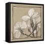 White Floral Study IV-Ethan Harper-Framed Stretched Canvas