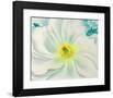 White Flower, 1929-Georgia O'Keeffe-Framed Art Print