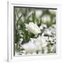 White Flower Abstraction-Incredi-Framed Giclee Print