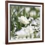 White Flower Abstraction-Incredi-Framed Giclee Print