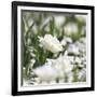 White Flower Abstraction-Incredi-Framed Giclee Print