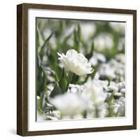 White Flower Abstraction-Incredi-Framed Giclee Print