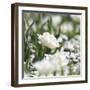 White Flower Abstraction-Incredi-Framed Giclee Print