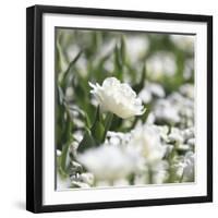 White Flower Abstraction-Incredi-Framed Giclee Print