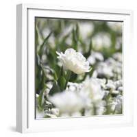 White Flower Abstraction-Incredi-Framed Giclee Print