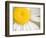 White Flower Close Up, the White River, Akansas-Andrew R. Slaton-Framed Photographic Print