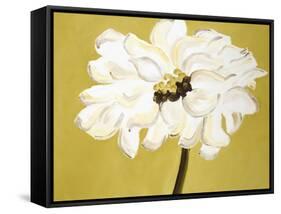 White Flower on Ochre-Soraya Chemaly-Framed Stretched Canvas