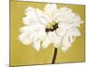 White Flower on Ochre-Soraya Chemaly-Mounted Giclee Print