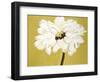 White Flower on Ochre-Soraya Chemaly-Framed Giclee Print