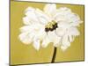 White Flower on Ochre-Soraya Chemaly-Mounted Giclee Print