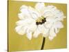 White Flower on Ochre-Soraya Chemaly-Stretched Canvas