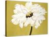 White Flower on Ochre-Soraya Chemaly-Stretched Canvas