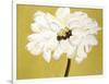 White Flower on Ochre-Soraya Chemaly-Framed Giclee Print