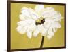 White Flower on Ochre-Soraya Chemaly-Framed Giclee Print