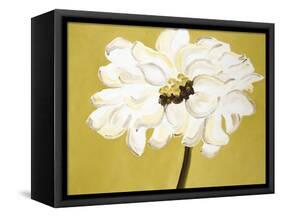 White Flower on Ochre-Soraya Chemaly-Framed Stretched Canvas