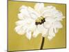 White Flower on Ochre-Soraya Chemaly-Mounted Premium Giclee Print