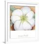 White Flower on Red Earth, No. 1, c.1946-Georgia O'Keeffe-Framed Art Print