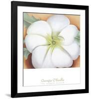 White Flower on Red Earth, No. 1, c.1946-Georgia O'Keeffe-Framed Art Print