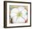 White Flower on Red Earth, No. 1, c.1946-Georgia O'Keeffe-Framed Art Print