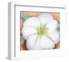 White Flower on Red Earth, No. 1, c.1946-Georgia O'Keeffe-Framed Art Print