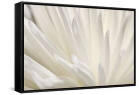 White Flower-PhotoINC-Framed Stretched Canvas