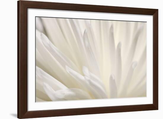 White Flower-PhotoINC-Framed Photographic Print