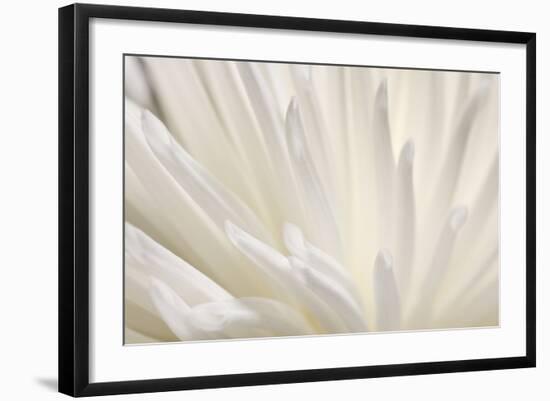 White Flower-PhotoINC-Framed Photographic Print