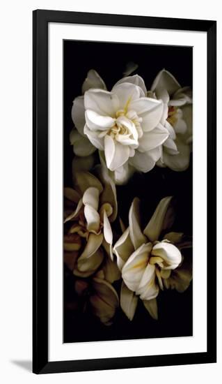 White Flowers Delight I-Richard Sutton-Framed Premium Giclee Print