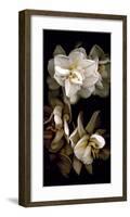 White Flowers Delight I-Richard Sutton-Framed Art Print