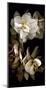 White Flowers Delight I-Richard Sutton-Mounted Art Print