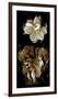 White Flowers Delight II-Richard Sutton-Framed Premium Giclee Print