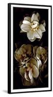 White Flowers Delight II-Richard Sutton-Framed Premium Giclee Print