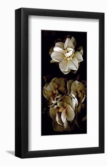 White Flowers Delight II-Richard Sutton-Framed Art Print