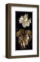 White Flowers Delight II-Richard Sutton-Framed Art Print