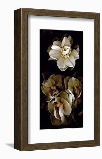 White Flowers Delight II-Richard Sutton-Framed Art Print