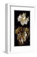 White Flowers Delight II-Richard Sutton-Framed Art Print