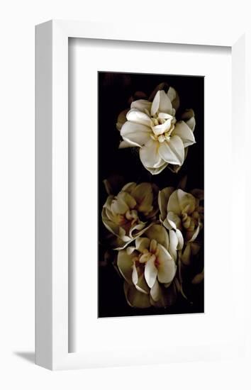 White Flowers Delight II-Richard Sutton-Framed Art Print