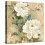 White Flowers I-Jil Wilcox-Stretched Canvas