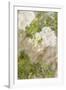 White Flowers III-Karyn Millet-Framed Photographic Print