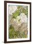 White Flowers III-Karyn Millet-Framed Photographic Print