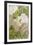 White Flowers III-Karyn Millet-Framed Photographic Print