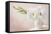 White Flowers in a Vase-egal-Framed Stretched Canvas