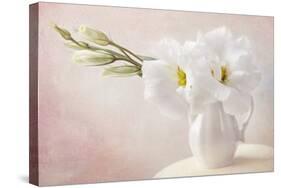 White Flowers in a Vase-egal-Stretched Canvas