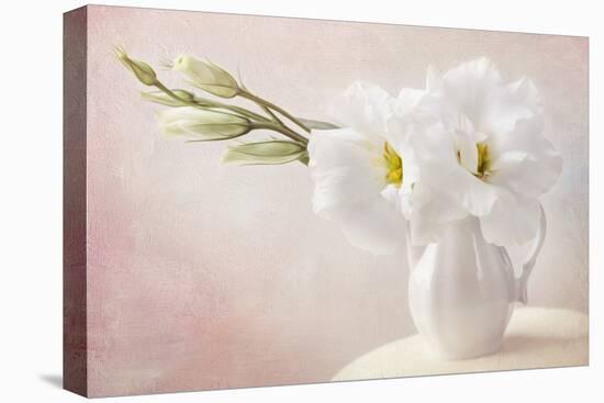 White Flowers in a Vase-egal-Stretched Canvas