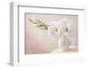 White Flowers in a Vase-egal-Framed Photographic Print