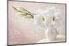 White Flowers in a Vase-egal-Mounted Photographic Print