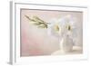 White Flowers in a Vase-egal-Framed Photographic Print