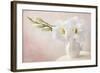 White Flowers in a Vase-egal-Framed Photographic Print