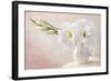 White Flowers in a Vase-egal-Framed Photographic Print