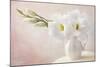 White Flowers in a Vase-egal-Mounted Photographic Print